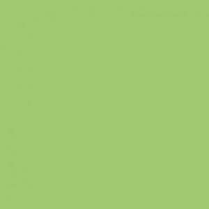 G6020 Montana Gold Green Apple EAN4048500285042