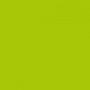 G6030 Montana Gold Lime EAN4048500285059