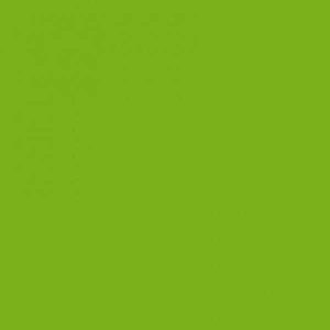 G6040 Montana Gold Lawn Green EAN4048500285066