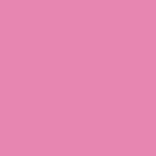 Montana Acrylic Marker 0.7mm S4000 Pink Light EAN4048500322730